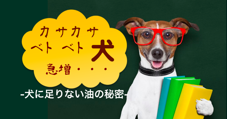 体がかゆい 皮膚がベトベト 犬に足りない体に良い油 あじなの犬だより 愛犬との幸せな暮らしをサポートする広島の動物病院のブログです