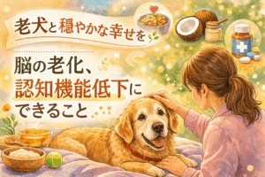 老犬を優しく撫でる飼い主とゴールデンレトリバー。脳の老化と認知機能低下に対する食事とケア（ボーンブロス・ココナッツオイル・サプリ）をイメージしたイラスト
