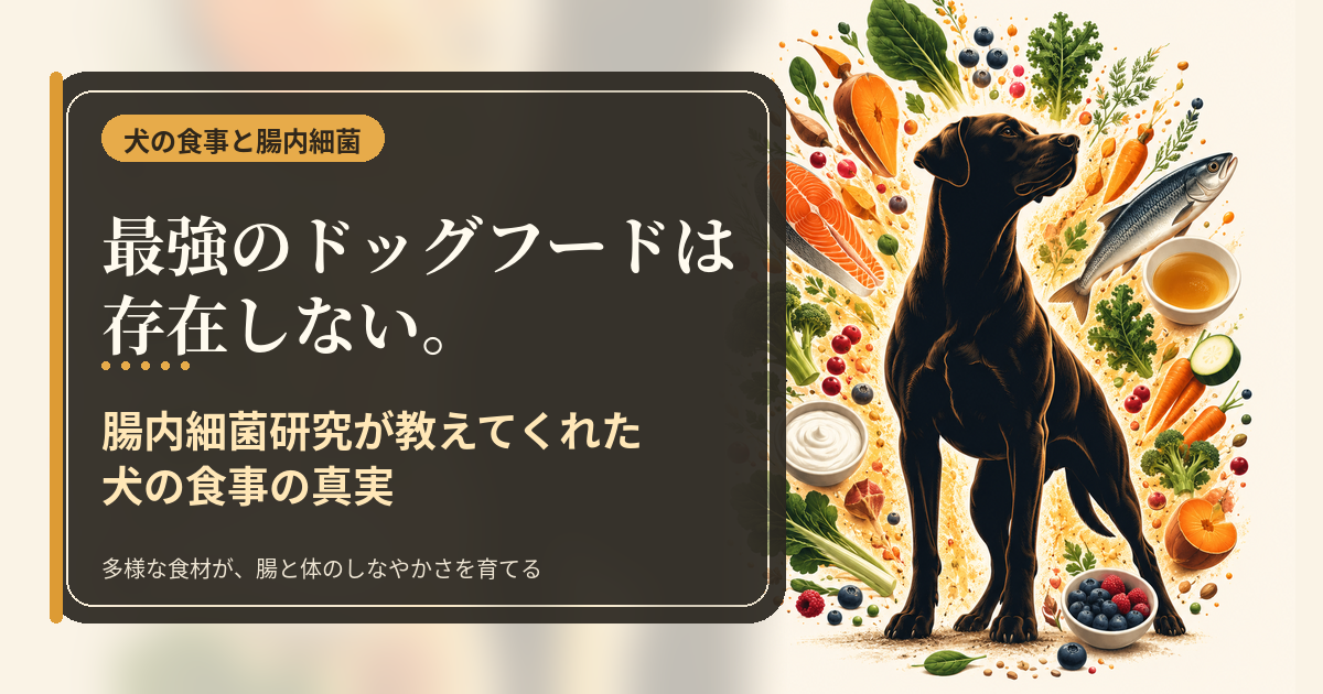 黒い犬のシルエットを中心に、魚・野菜・ヨーグルト・ボーンブロスなど多様な食材が広がる犬の食事と腸内細菌の記事アイキャッチ
